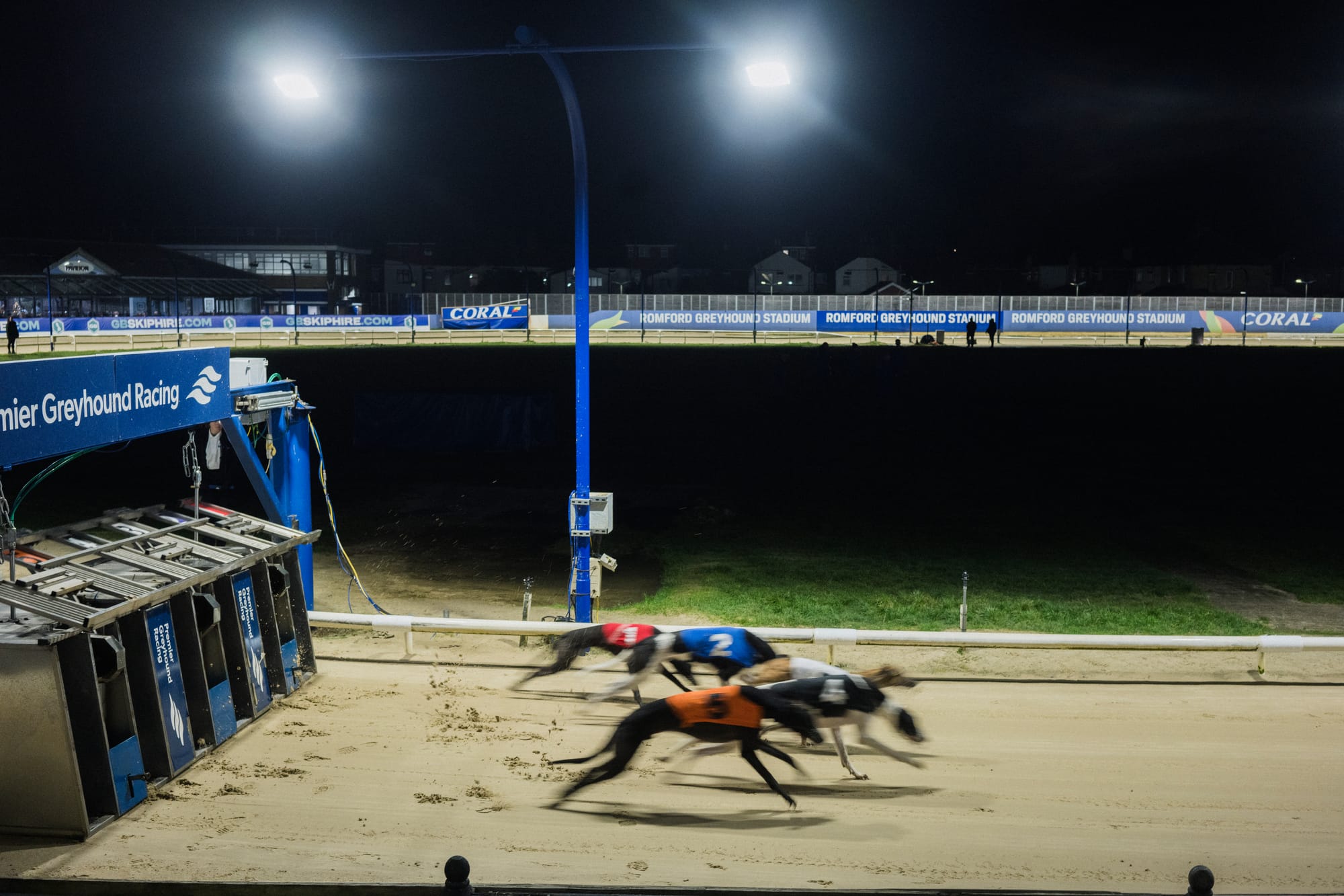 Dog Days At Romford: London’s last surviving greyhound track