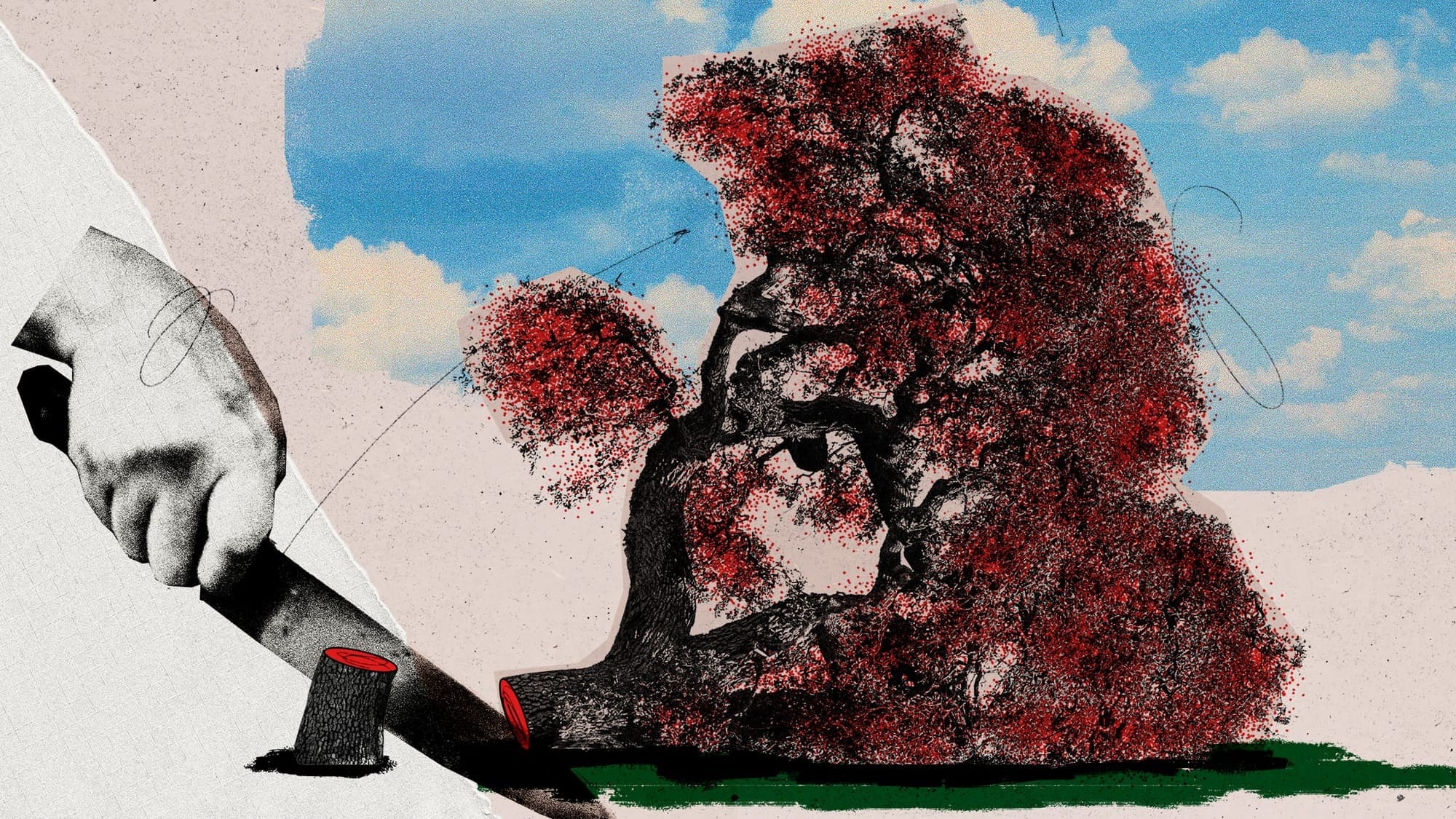 Toby Carvery felled an ancient oak tree. So why is everyone blaming Spurs?