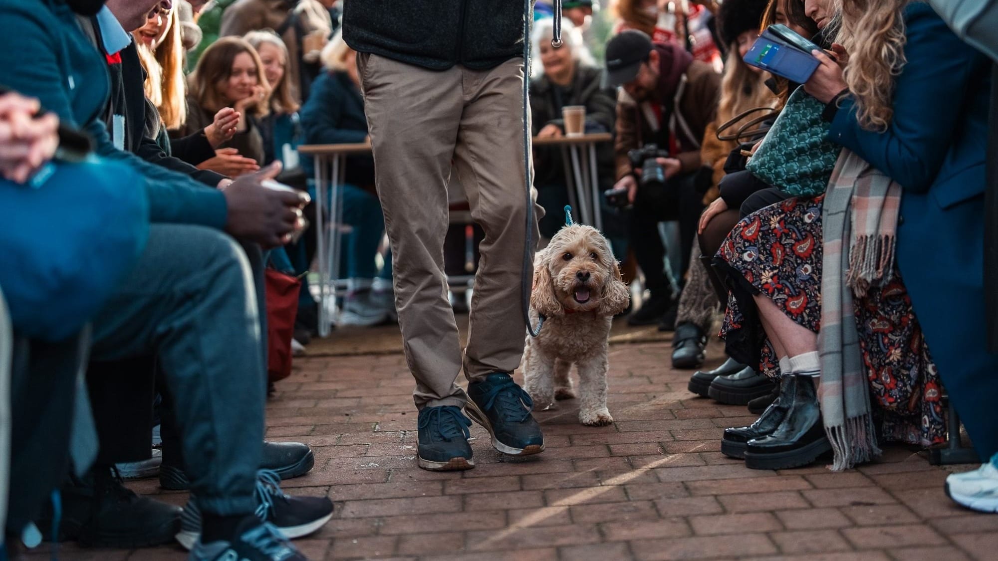 Bark the herald angels sing!