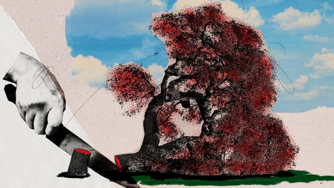 Toby Carvery felled an ancient oak tree. So why is everyone blaming Spurs?