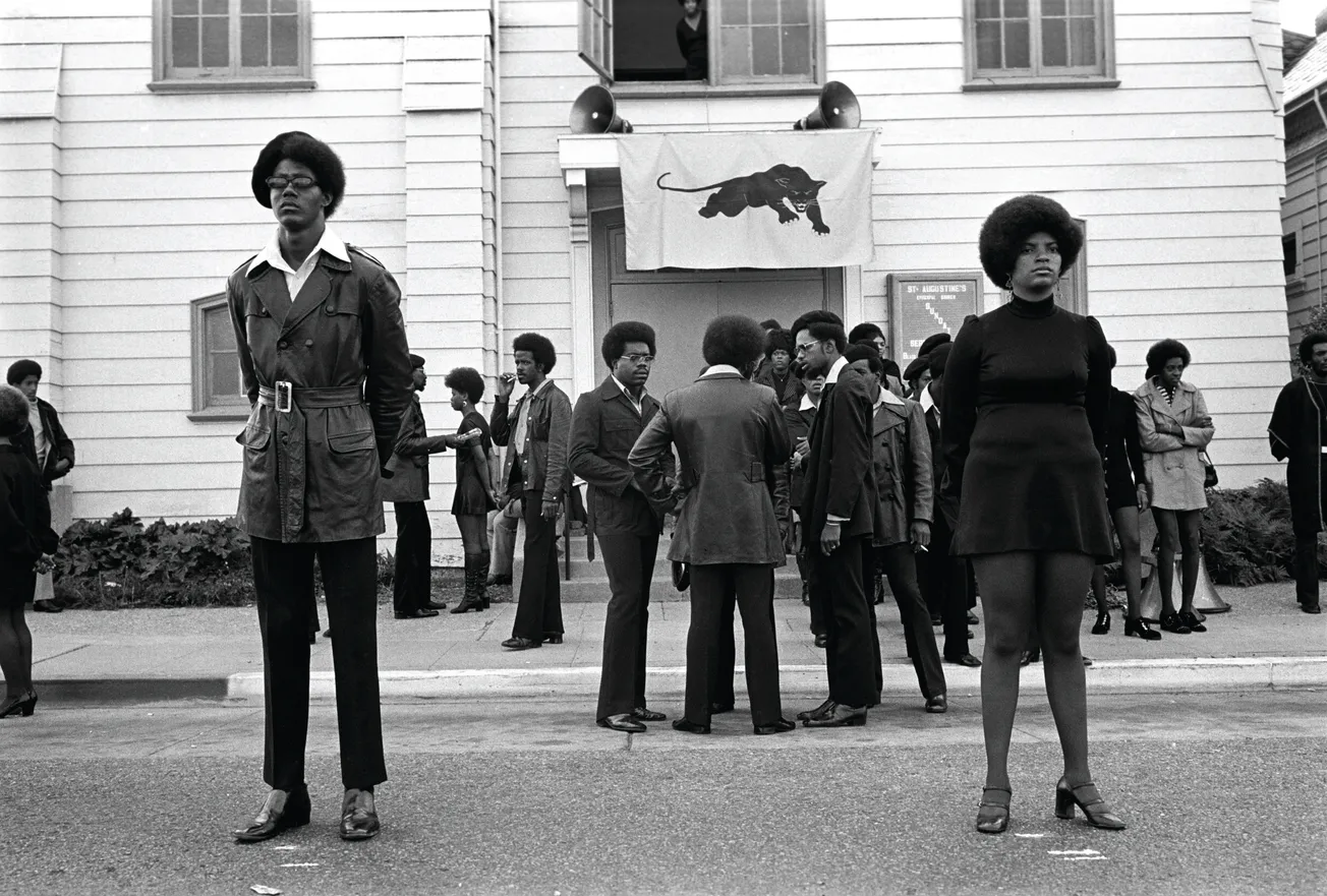 Black Panthers, Gucci bags, and Hollywood stars: my night at London's strangest art opening