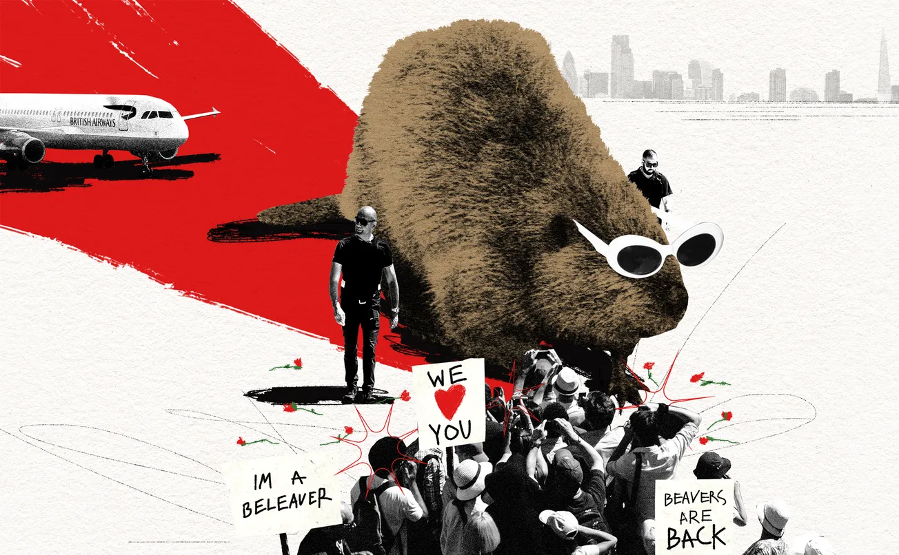 The beavers are coming